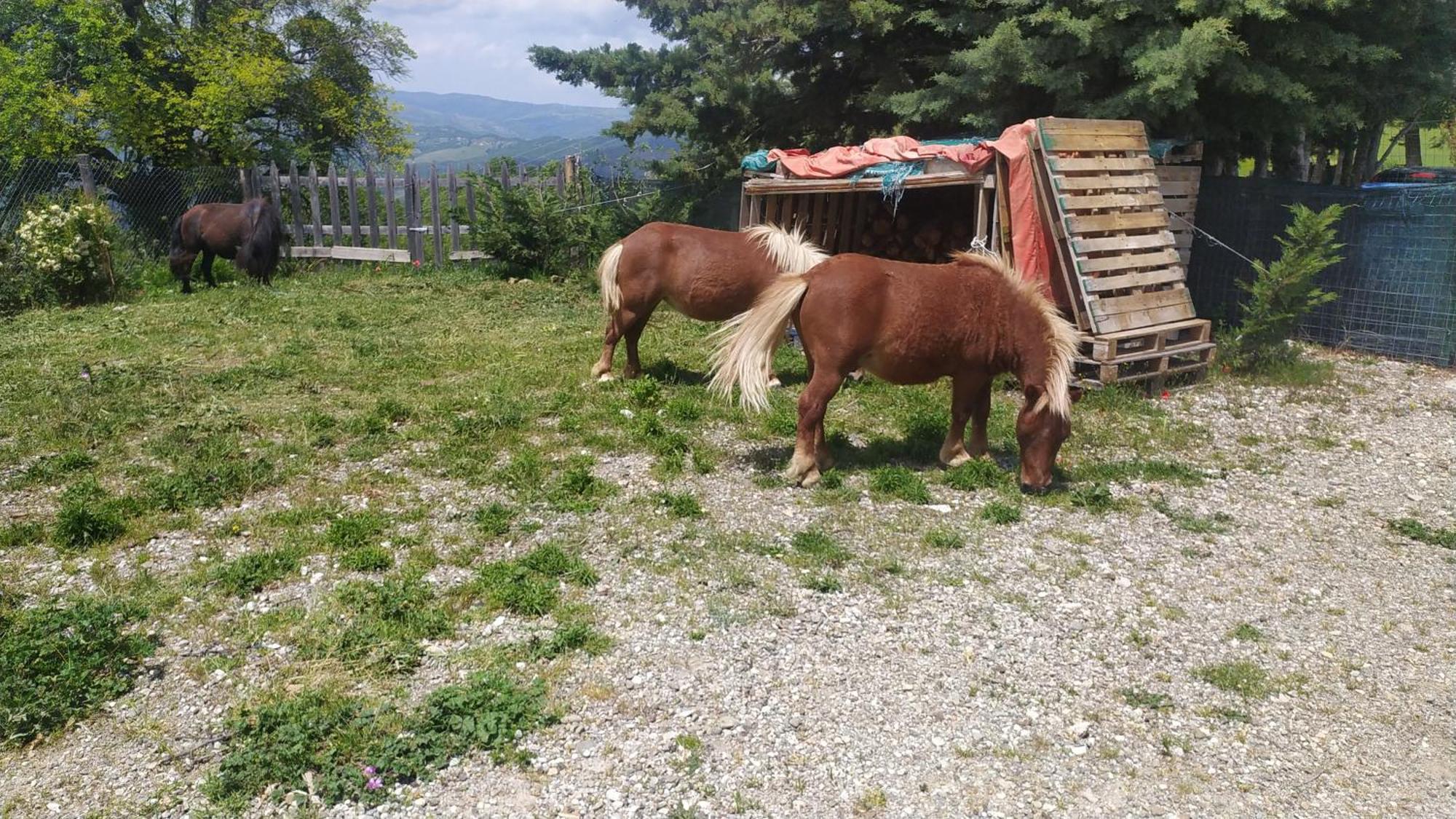 Agribnb Casa Furnaredda Bed & Breakfast Laurenzana Bagian luar foto